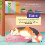 Siri Haiwan Peliharaan: Miau Miau Kucing Mengiau